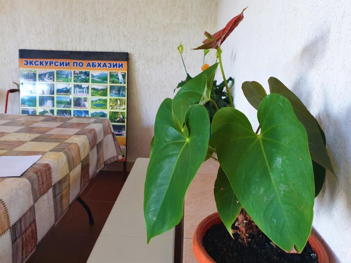 Guest House Lykhny Gagra Ngoại thất bức ảnh