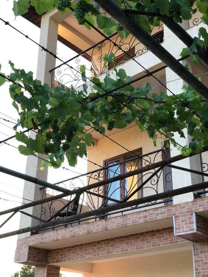 Guest House Lykhny Gagra Ngoại thất bức ảnh